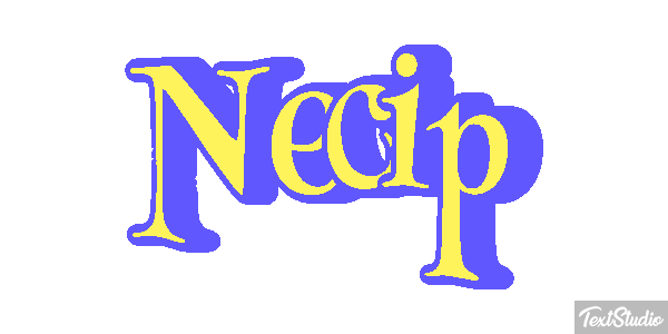 Necip Effetto testo