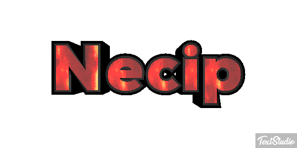 Necip Effetto testo