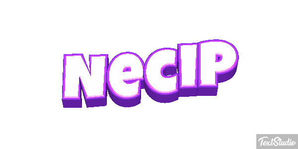 Necip Effetto testo