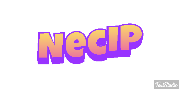 Necip Effetto testo