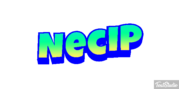 Necip Effetto testo