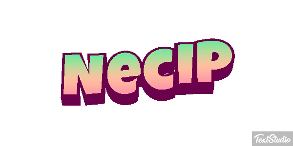 Necip Effetto testo