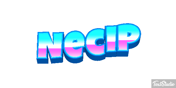 Necip Effetto testo