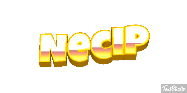 Necip Effetto testo