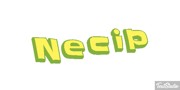 Necip Effetto testo