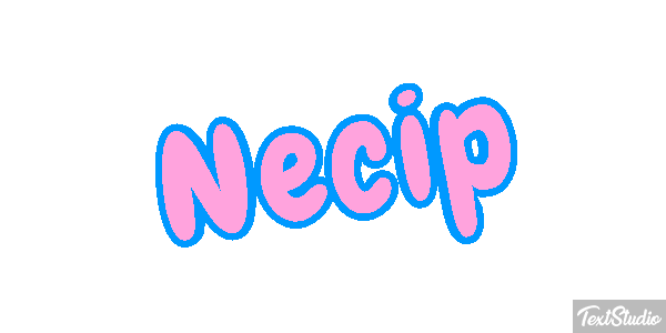 Necip Effetto testo