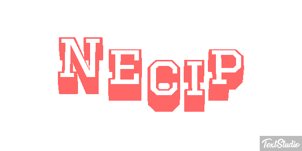 Necip Effetto testo