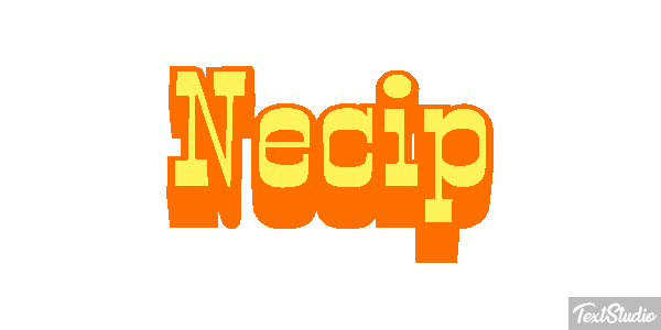 Necip Effetto testo