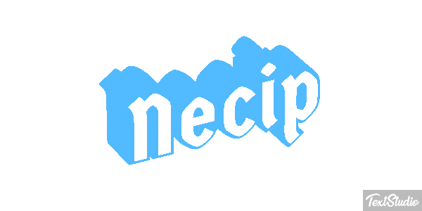 Necip Effetto testo