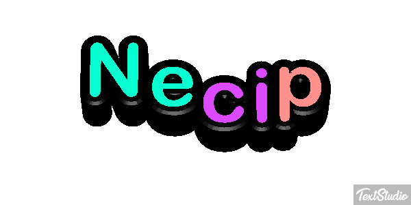 Necip Effetto testo