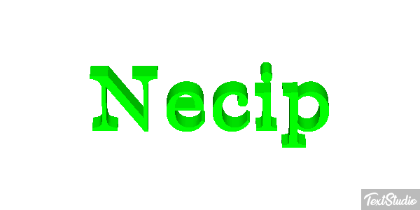 Necip Effetto testo