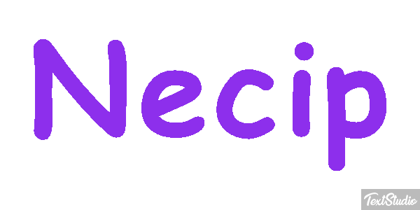 Necip Effetto testo