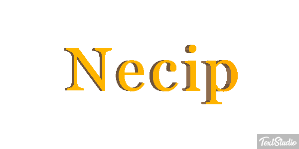 Necip Effetto testo