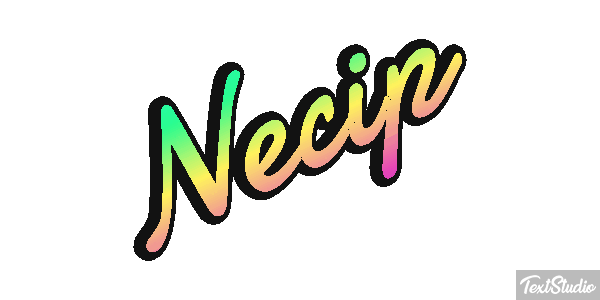 Necip Effetto testo