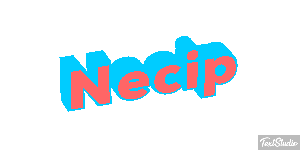 Necip Effetto testo