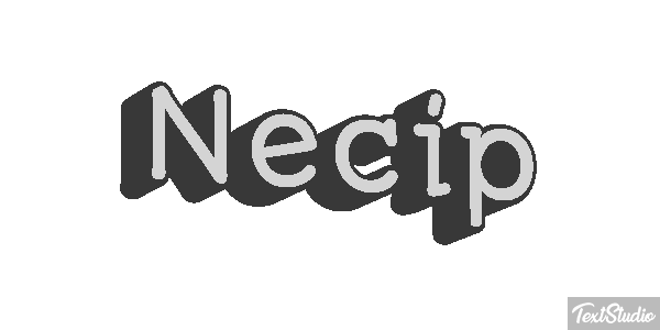 Necip Effetto testo