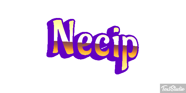 Necip Effetto testo