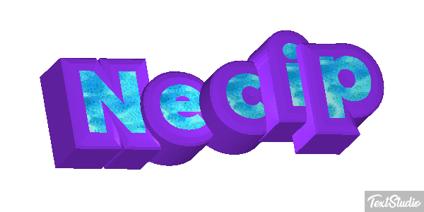 Necip Effetto testo