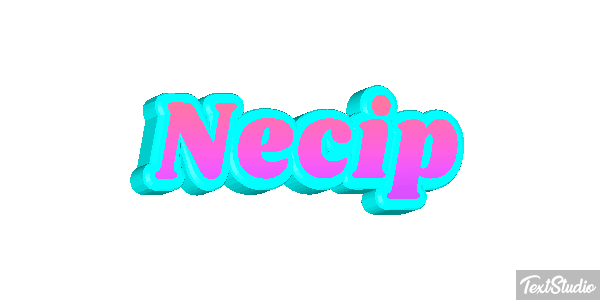 Necip Effetto testo