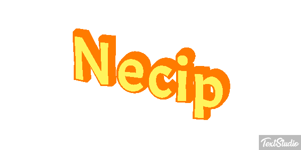 Necip Effetto testo