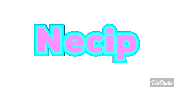 Necip Effetto testo
