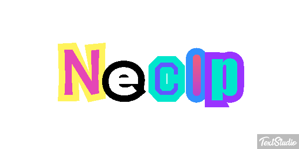 Necip Effetto testo