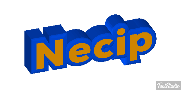 Necip Effetto testo