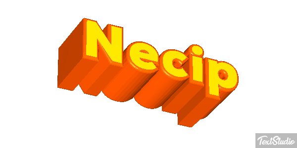 Necip Effetto testo