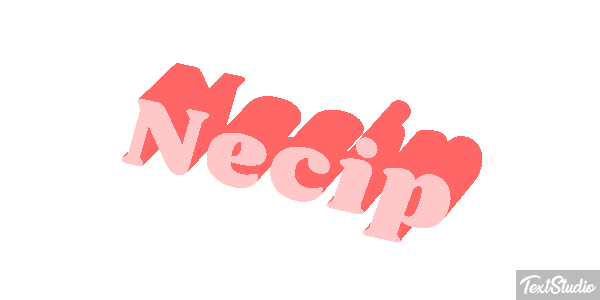 Necip Effetto testo