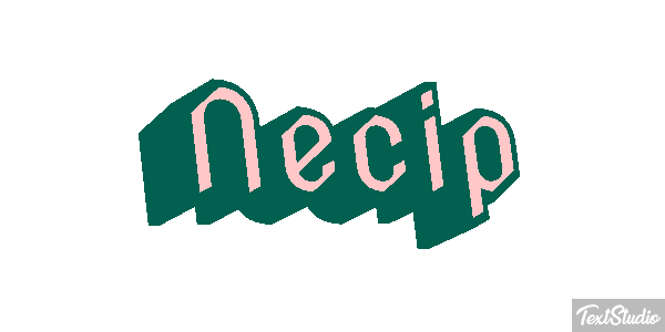 Necip Effetto testo