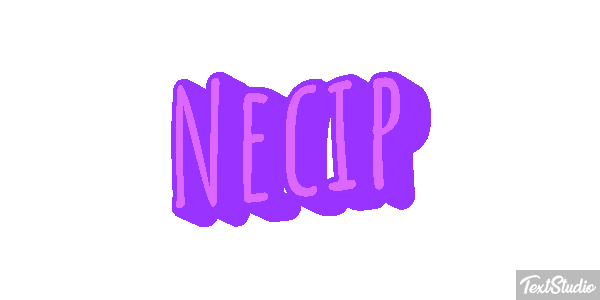 Necip Effetto testo