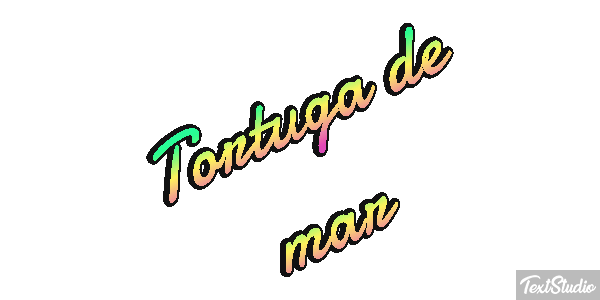 Tortuga de mar Efekt tekstowy