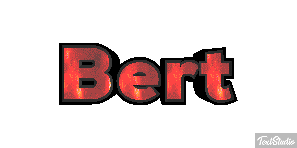 Bert Effetto testo
