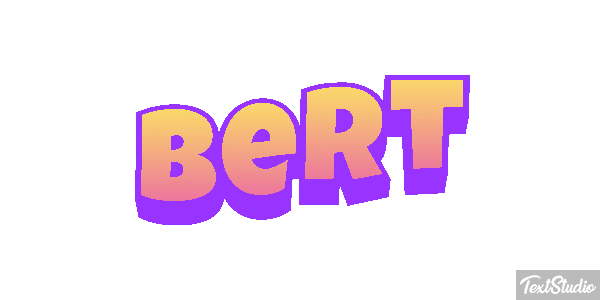 Bert Effetto testo