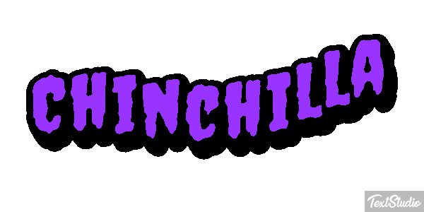 Chinchilla Effet de texte