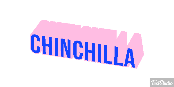 Chinchilla Effet de texte