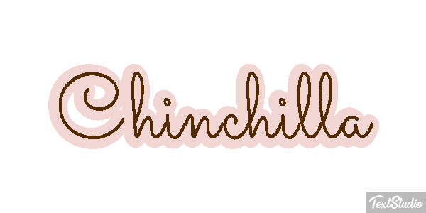 Chinchilla Effet de texte