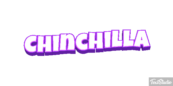 Chinchilla Effet de texte