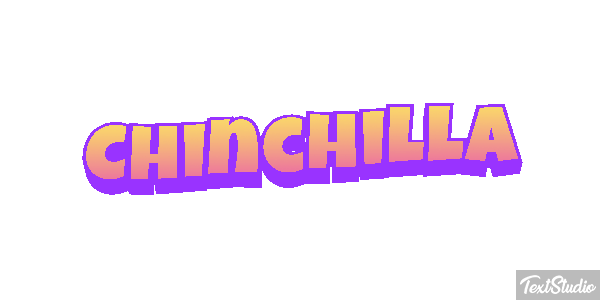 Chinchilla Effet de texte