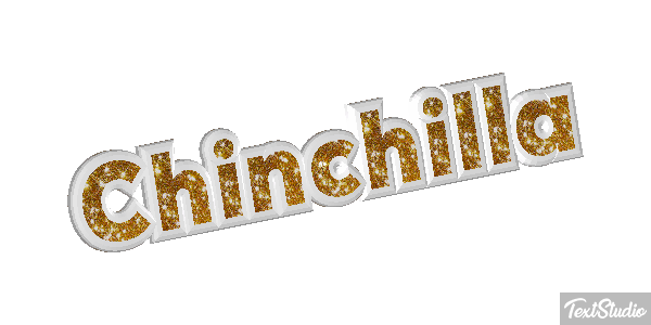 Chinchilla Effet de texte