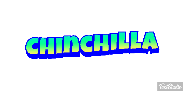 Chinchilla Effet de texte