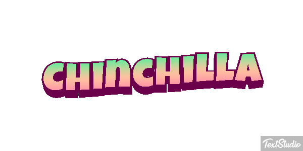 Chinchilla Effet de texte