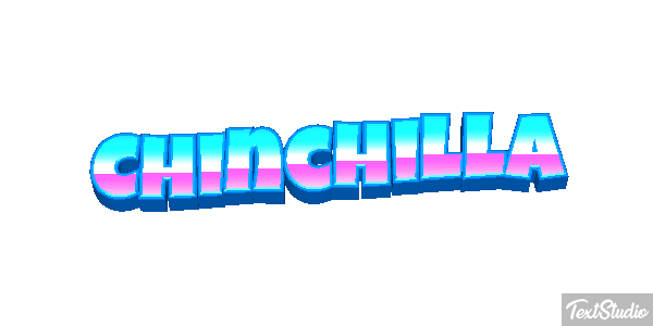 Chinchilla Effet de texte
