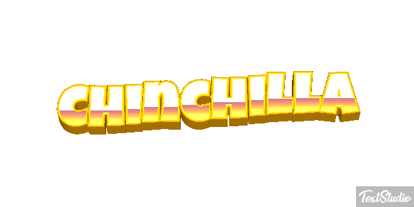 Chinchilla Effet de texte