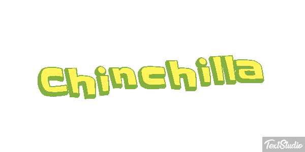 Chinchilla Effet de texte
