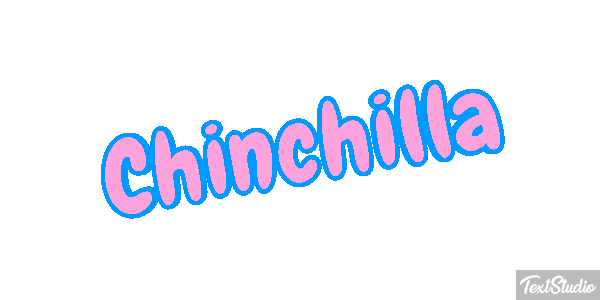 Chinchilla Effet de texte