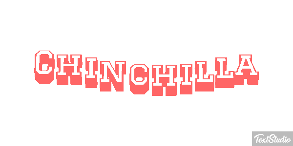 Chinchilla Effet de texte