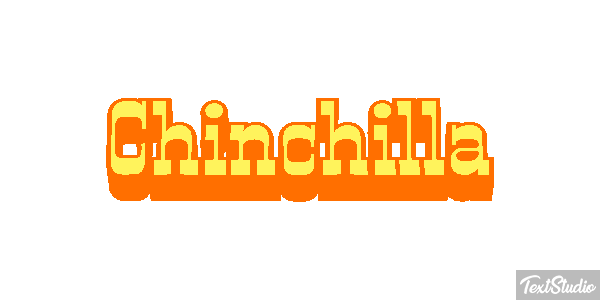 Chinchilla Effet de texte