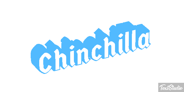 Chinchilla Effet de texte