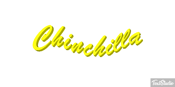 Chinchilla Effet de texte